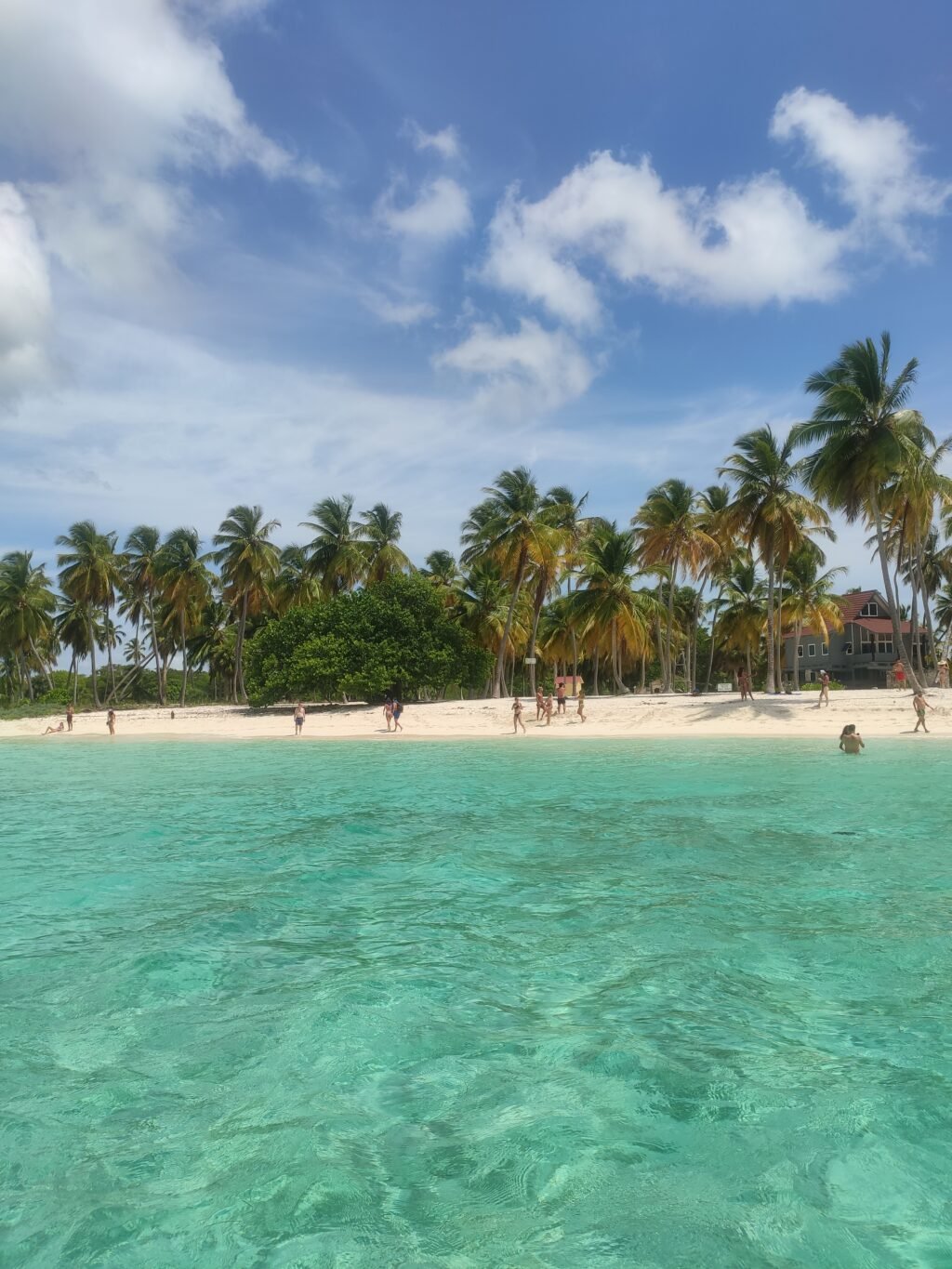 Ilha Saona Punta Cana